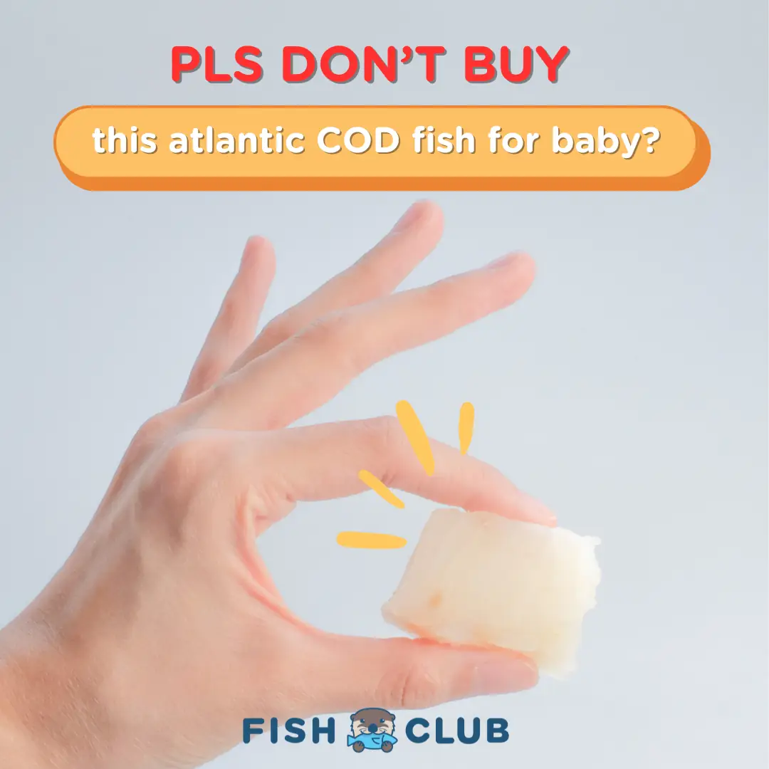 Fish Club Carousel baby care ad: Curiosity-hook ad for why you should not buy Atlantic cod for your baby, frame 1 of 4