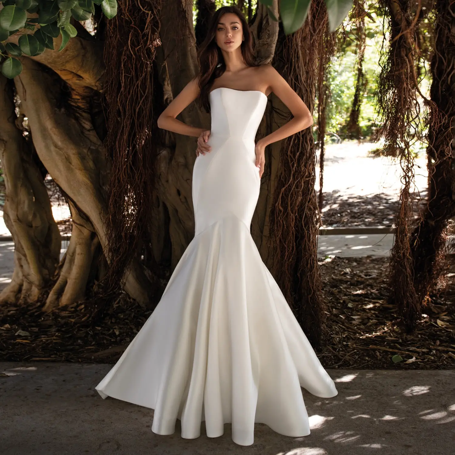 Designer Bridal Room, Malaysia Carousel fashion ad: Showcase ad for new wedding gowns to rent or buy, frame 5 of 6