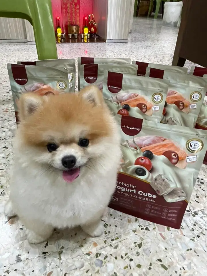 RoyalHug Carousel pet care ad: Showcase ad for freeze-dried probiotic yogurt cubes for a calmer gut, frame 3 of 5
