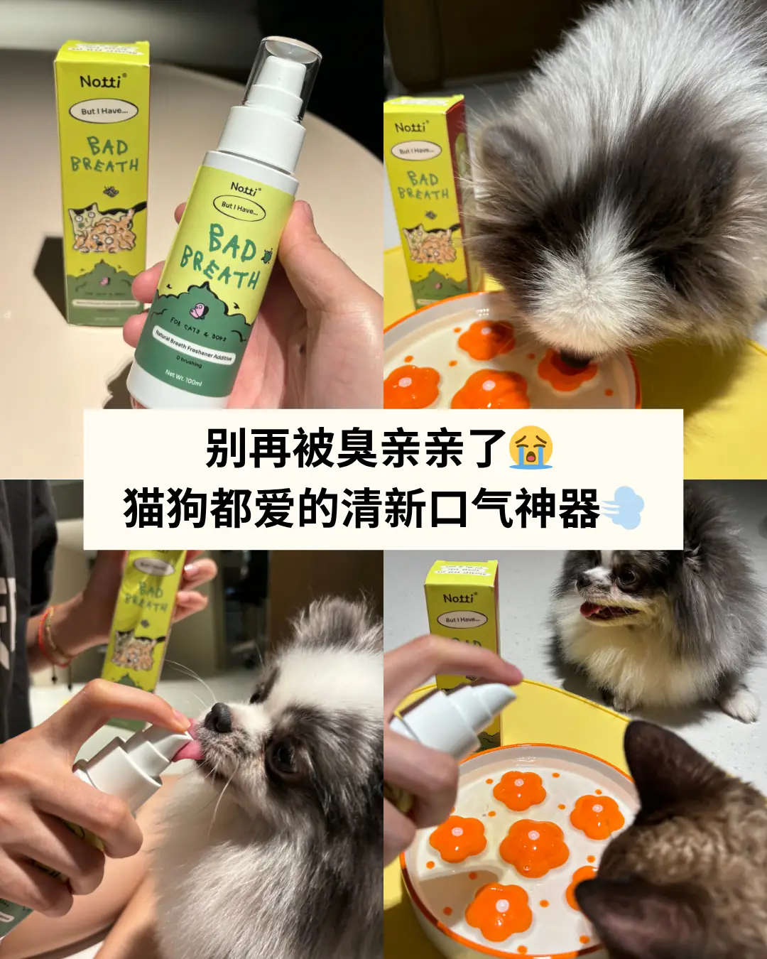 Notti Pet Food Carousel pet care ad: UGC ad for fresher pet breath in seconds, zero brushing, frame 1 of 4