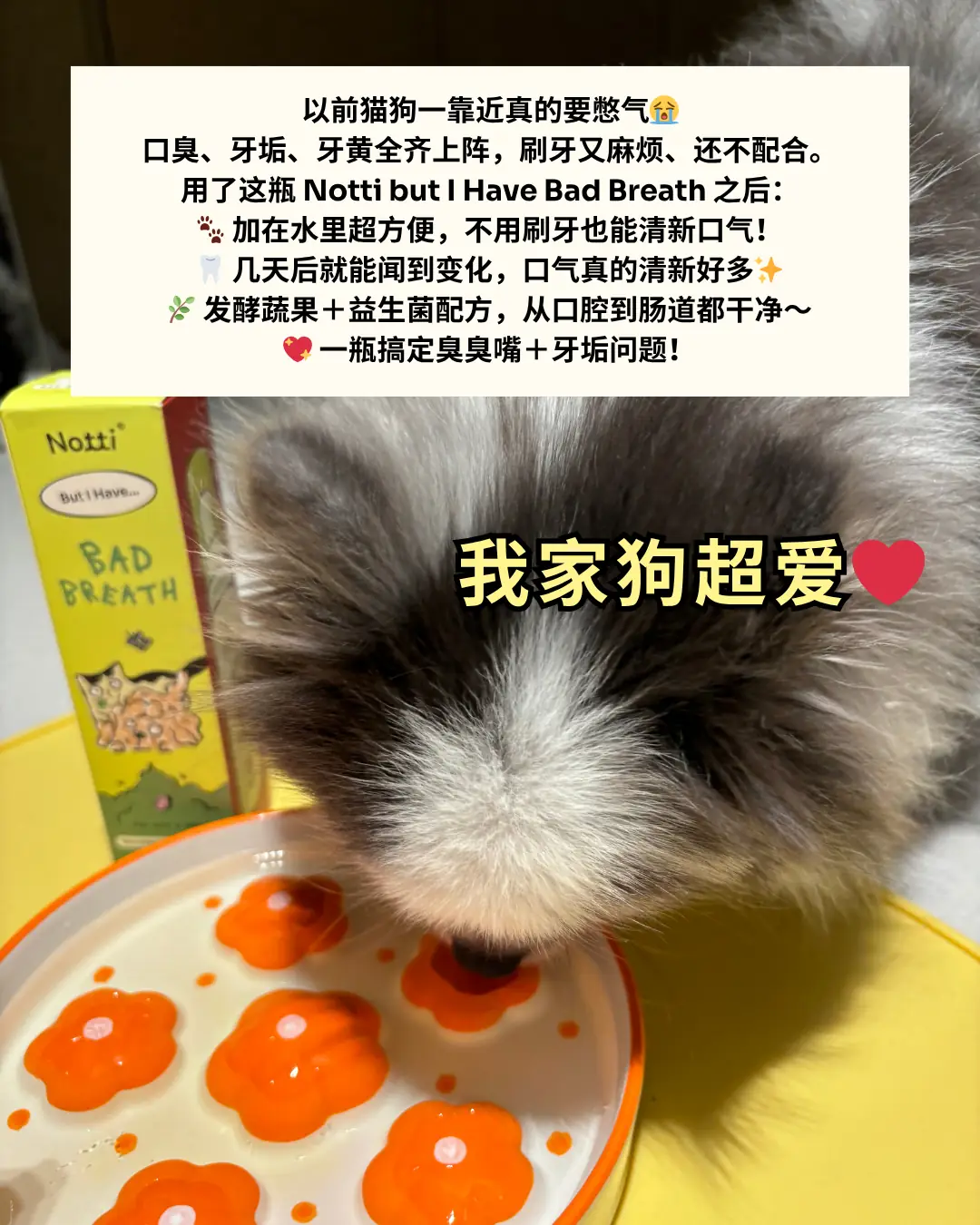 Notti Pet Food Carousel pet care ad: UGC ad for fresher pet breath in seconds, zero brushing, frame 2 of 4