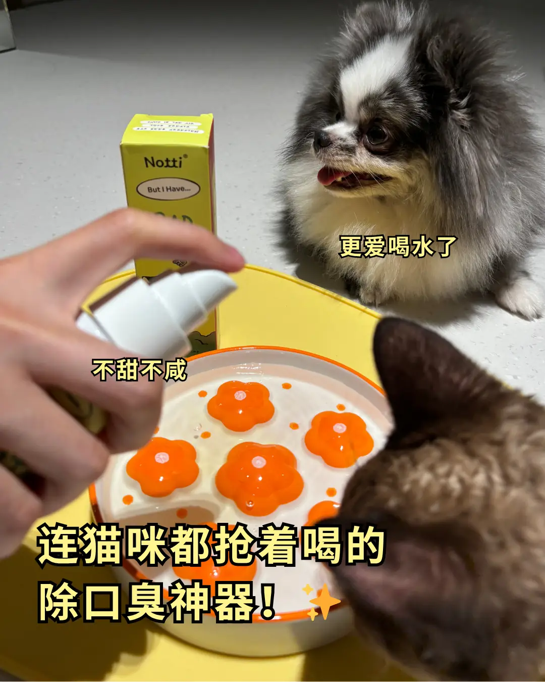 Notti Pet Food Carousel pet care ad: UGC ad for fresher pet breath in seconds, zero brushing, frame 4 of 4