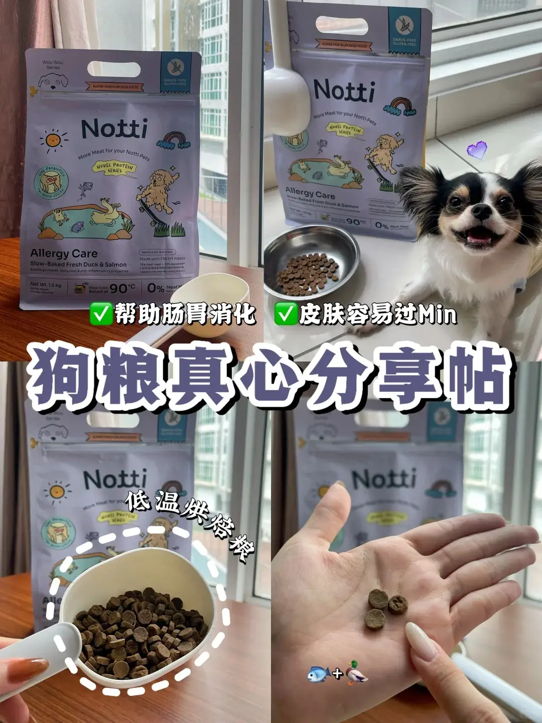 Notti Pet Food Carousel pet care ad: UGC ad for an allergy-care formula with skin and gut probiotics, frame 1 of 5