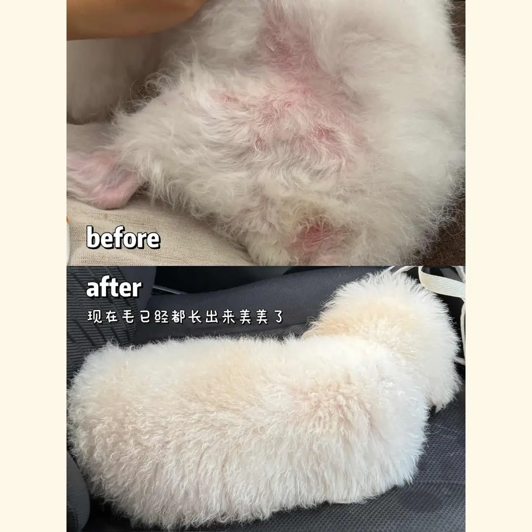 Notti Pet Food Carousel pet care ad: Before-and-after ad for tear stains gone after a year on baked food, frame 4 of 6