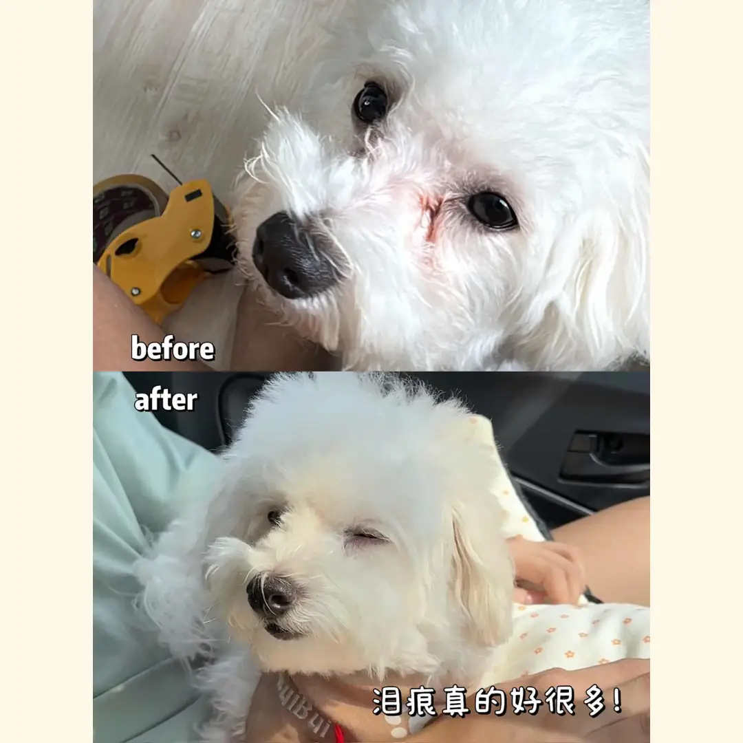 Notti Pet Food Carousel pet care ad: Before-and-after ad for tear stains gone after a year on baked food, frame 2 of 6
