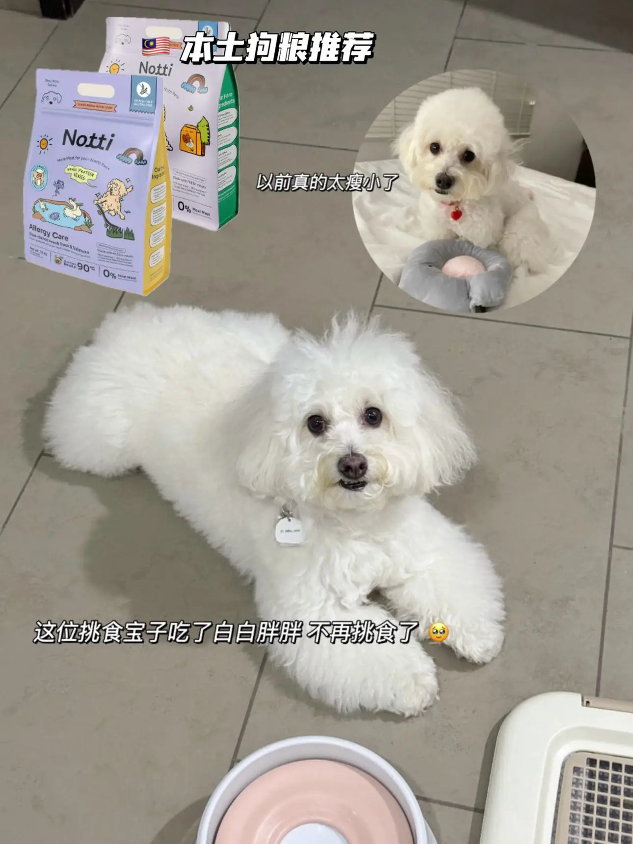 Notti Pet Food Carousel pet care ad: Before-and-after ad for tear stains gone after a year on baked food, frame 6 of 6