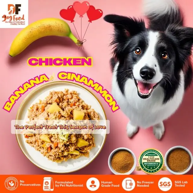DF DogFood Carousel pet care ad: Feature-callout ad for a gourmet venison meal with human-grade ingredients, frame 6 of 6