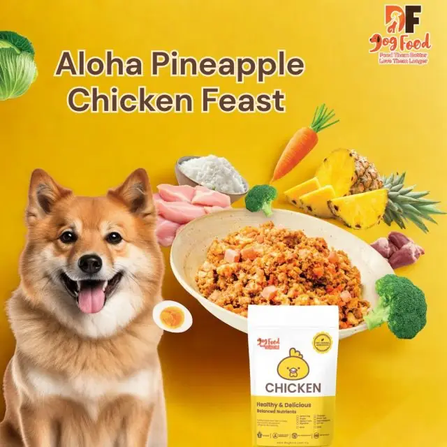 DF DogFood Carousel pet care ad: Feature-callout ad for a gourmet venison meal with human-grade ingredients, frame 2 of 6