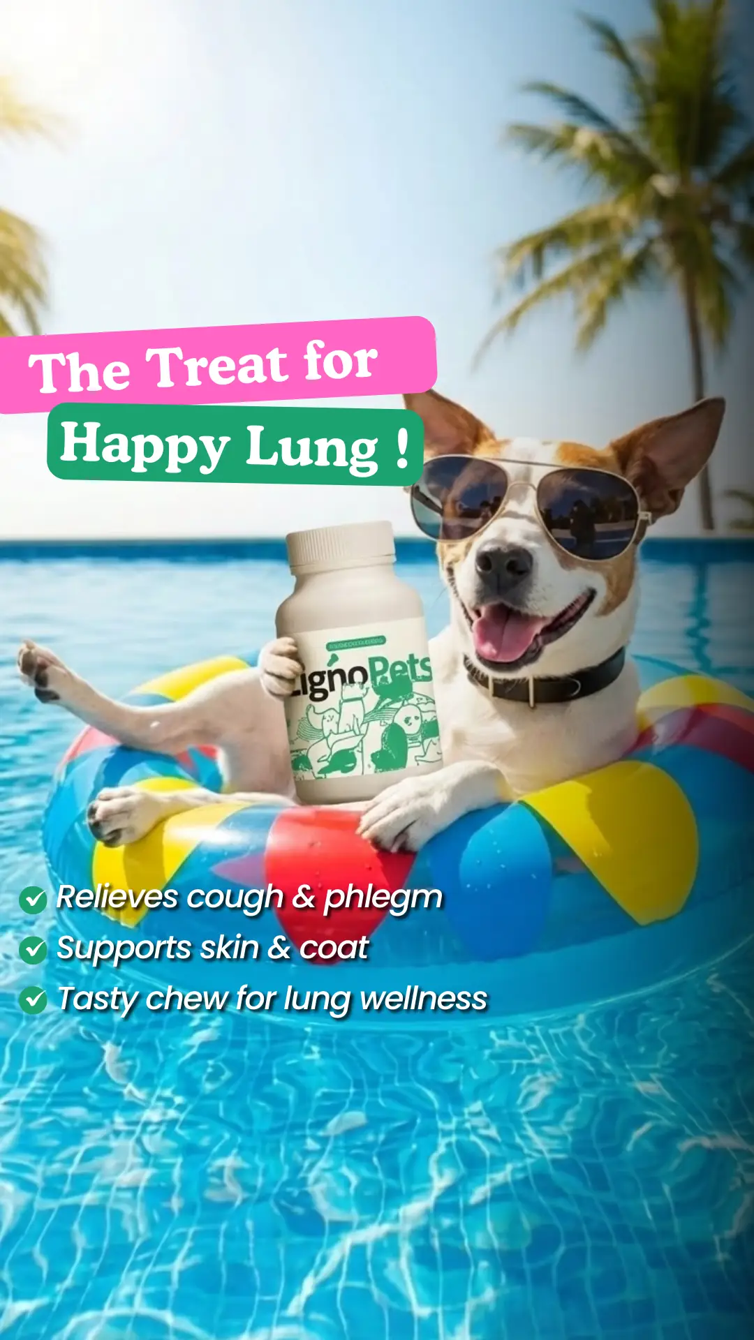 Lignosus Asia Static pet care ad: Feature-callout ad for a tasty lung-wellness chew dogs enjoy