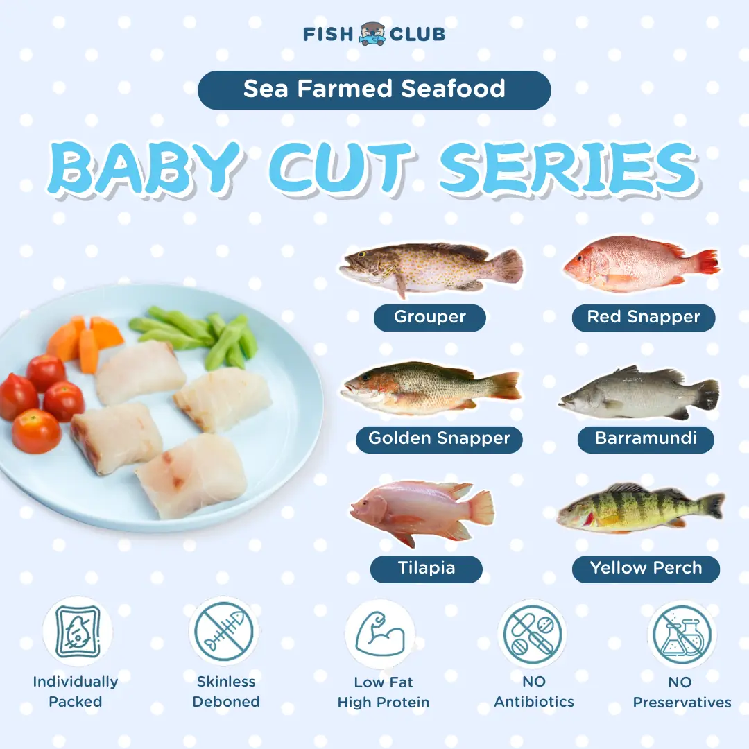 Fish Club Carousel baby care ad: Feature-callout ad for a baby-cut fish range, deboned and preservative-free, frame 2 of 2