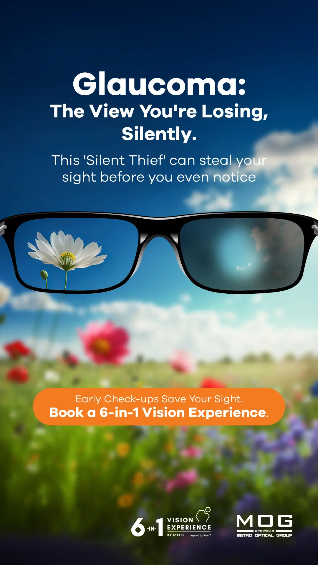 MOG EYEWEAR Dynamic optical and eyewear ad: Showcase ad for glaucoma: The View You're Losing, Silently