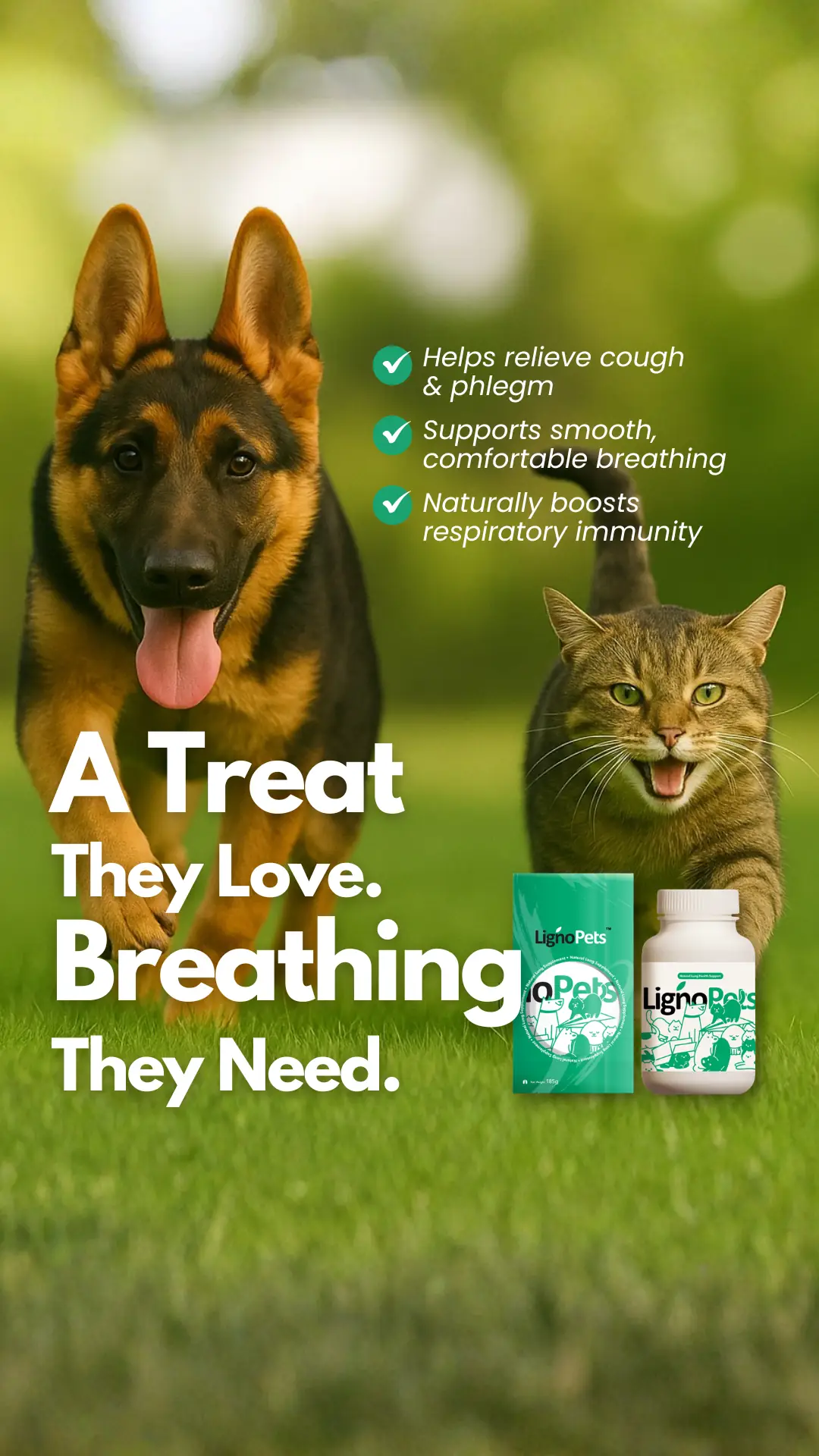Lignosus Static pet care ad: Feature-callout ad for a breathing-support treat pets actually love