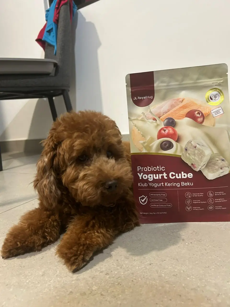 RoyalHug Carousel pet care ad: Showcase ad for freeze-dried probiotic yogurt cubes for a calmer gut, frame 4 of 5