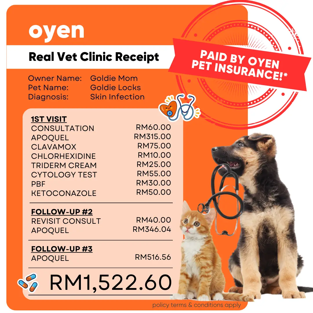 Oyen Pet Insurance & Takaful Kucing Static pet care ad: Social-proof ad for a vet bill settled by pet insurance