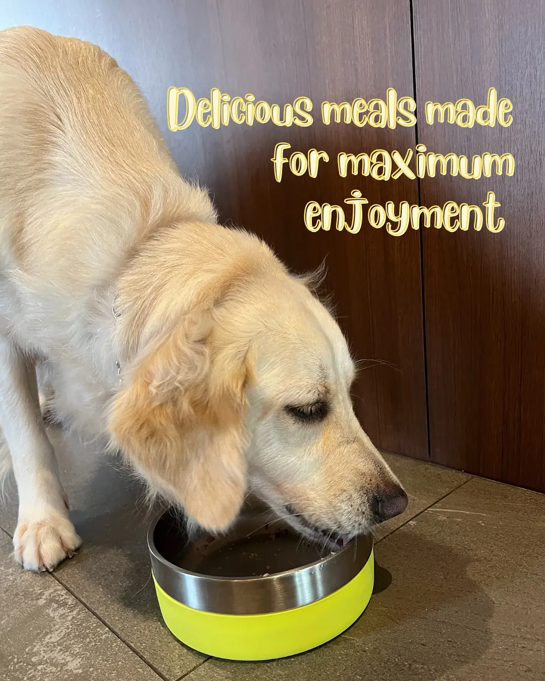 Bailey’s Bento Carousel pet care ad: Showcase ad for fresh meals your pup will beg for, frame 6 of 6