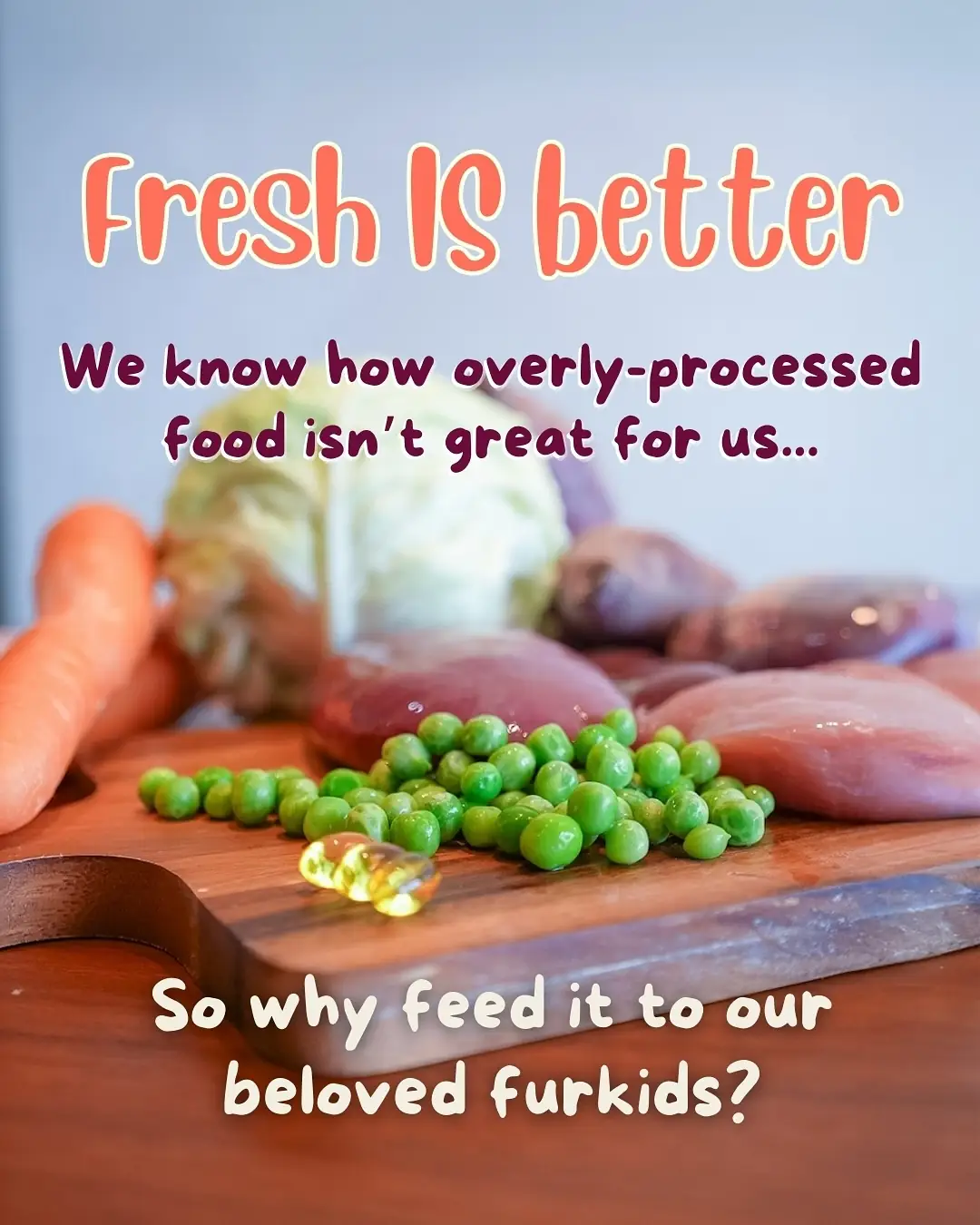 Bailey’s Bento Carousel pet care ad: Showcase ad for fresh meals your pup will beg for, frame 2 of 6