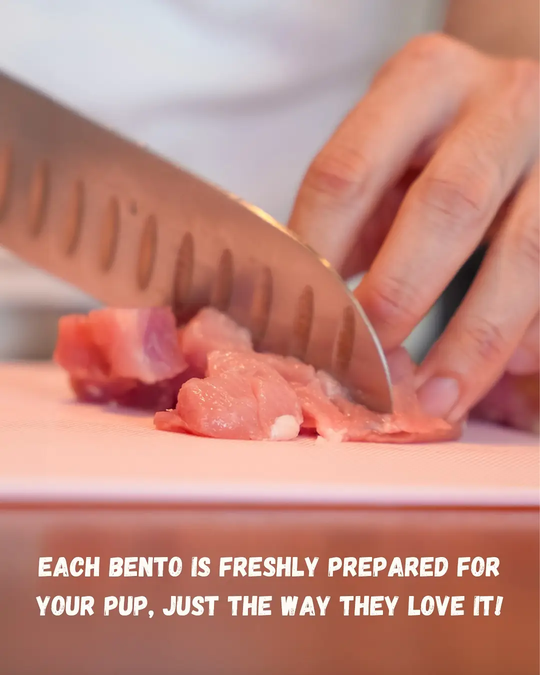 Bailey’s Bento Carousel pet care ad: Showcase ad for fresh meals your pup will beg for, frame 5 of 6