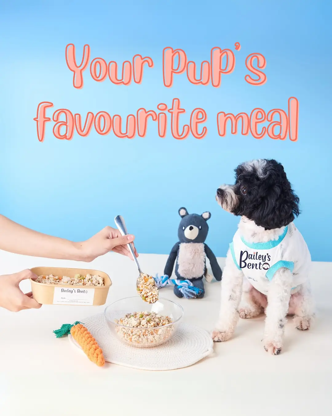 Bailey’s Bento Carousel pet care ad: Showcase ad for fresh meals your pup will beg for, frame 1 of 6