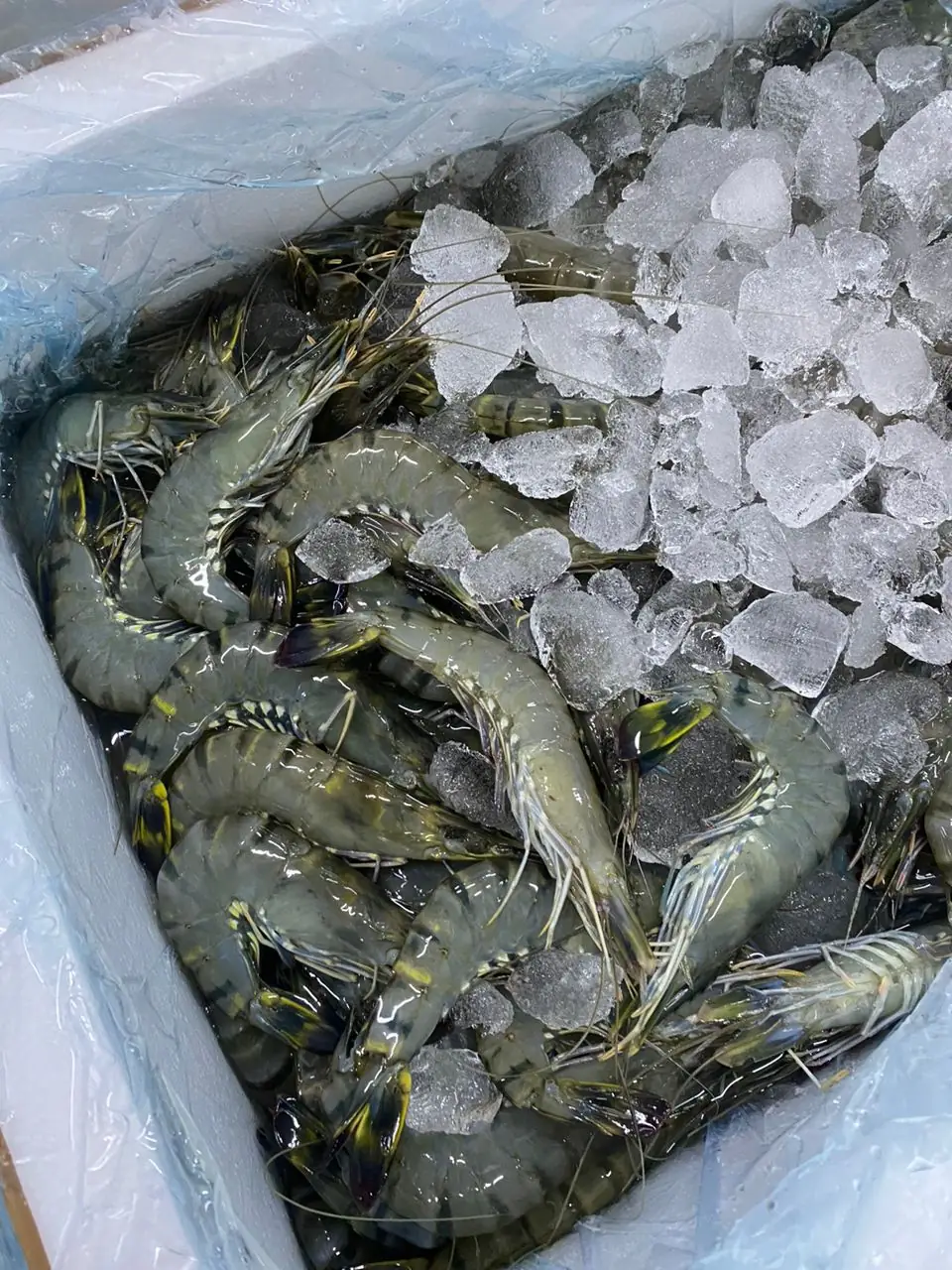 HS Food & Fishery Carousel food and beverage ad: Showcase ad for fresh IQF tiger prawns that save cost and time, frame 4 of 6
