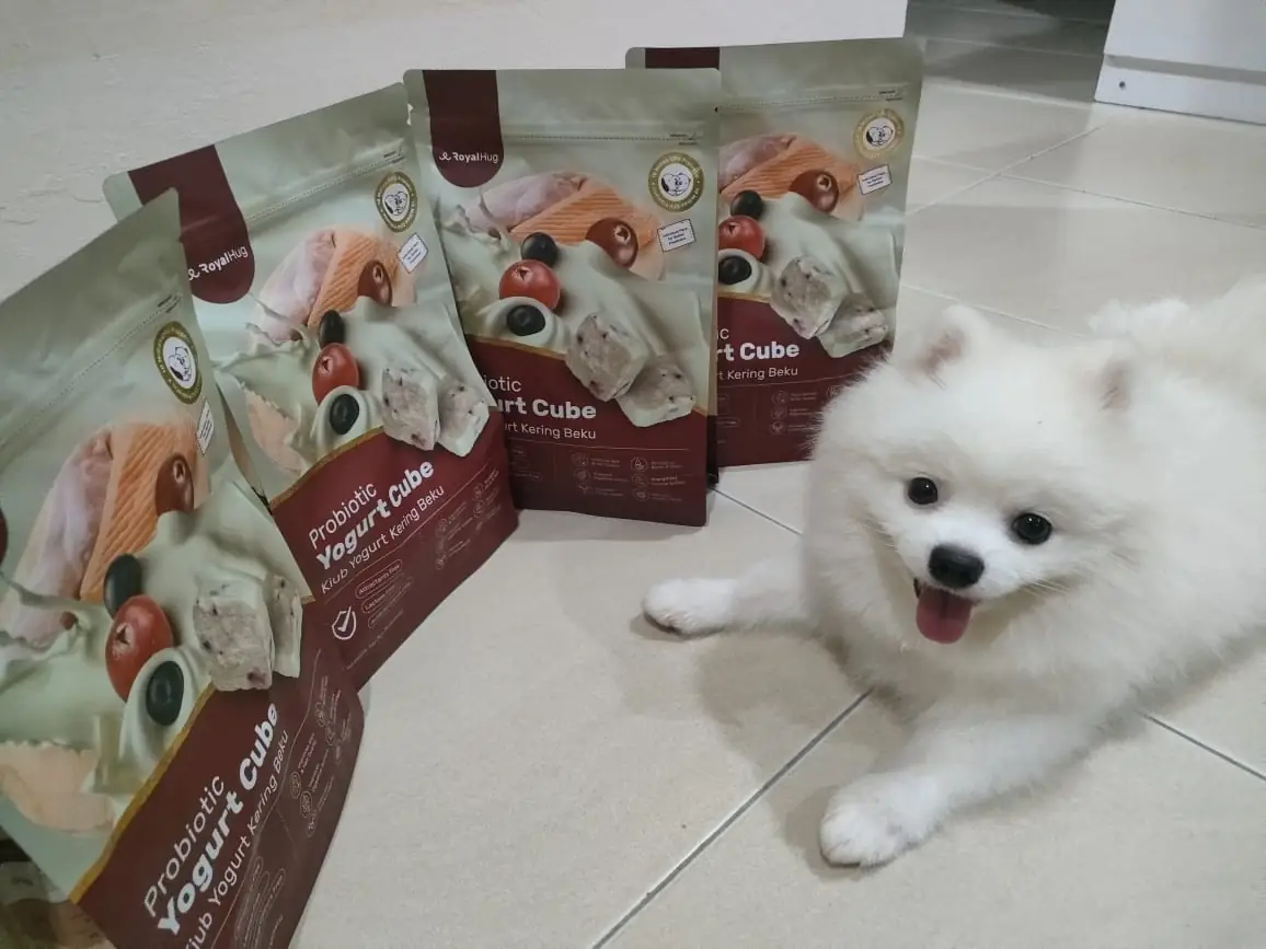 RoyalHug Carousel pet care ad: Showcase ad for freeze-dried probiotic yogurt cubes for a calmer gut, frame 1 of 5