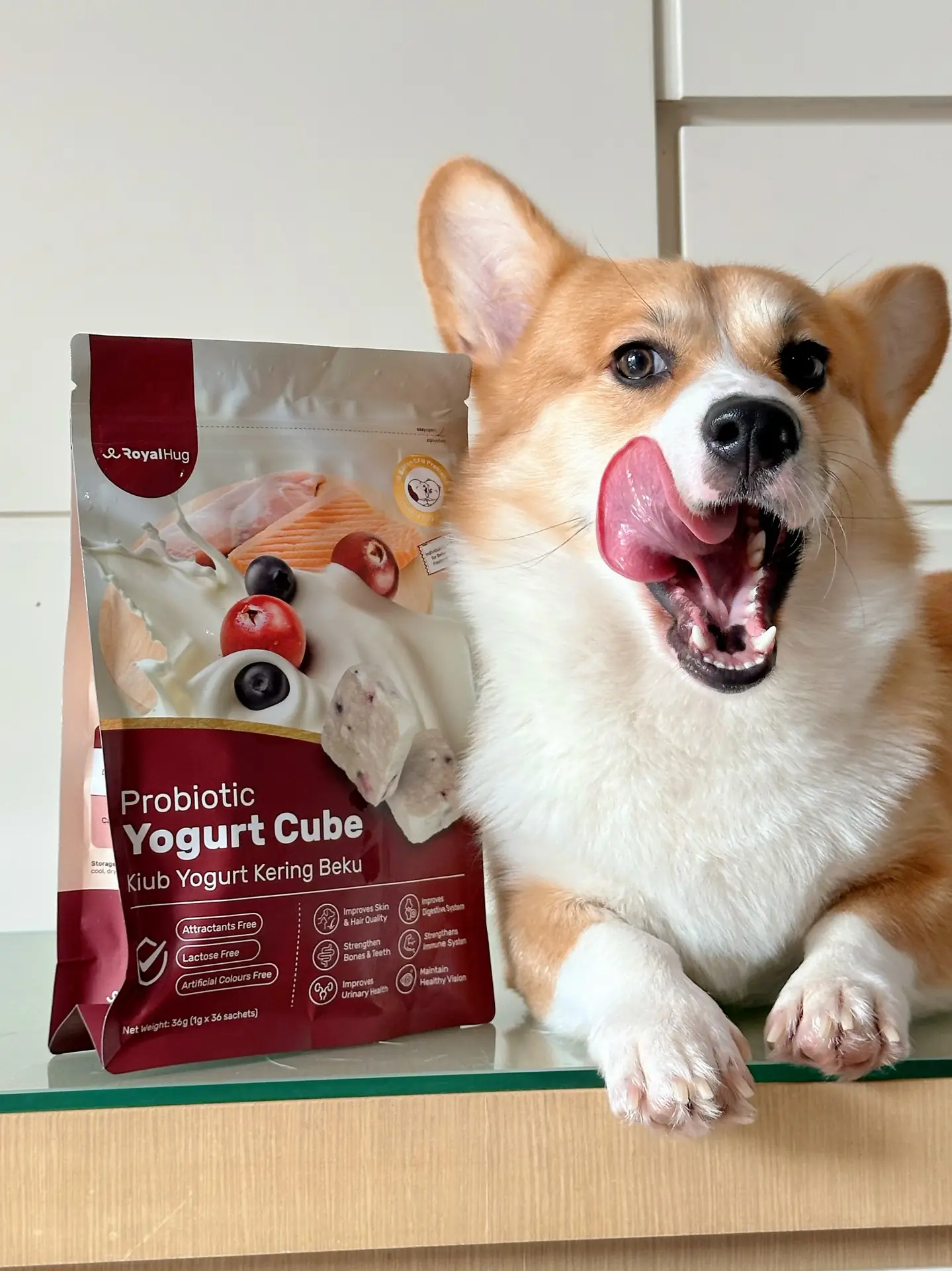 RoyalHug Carousel pet care ad: Showcase ad for freeze-dried probiotic yogurt cubes for a calmer gut, frame 5 of 5